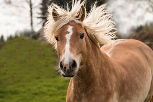 2016 02 28_1102_bearbeitet-2.jpg