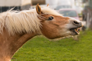 2016 02 28_1125_bearbeitet-2.jpg