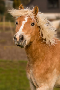 2016 02 28_1127_bearbeitet-2.jpg