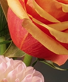 Bildschirmfoto 2016-03-01 um 13.06.05.png