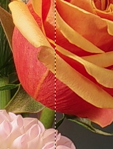 Bildschirmfoto 2016-03-01 um 13.06.19.png