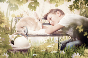 DSC_0696-1 OK kleiner.jpg