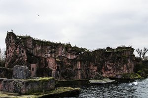 comp__DSC4764.jpg comp__DSC4764.jpg