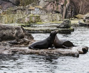 comp__DSC4766.jpg comp__DSC4766.jpg