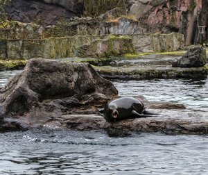 comp__DSC4768.jpg comp__DSC4768.jpg