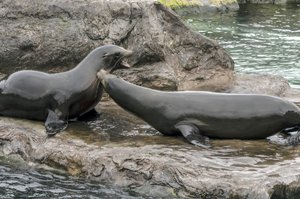 comp__DSC4771.jpg comp__DSC4771.jpg