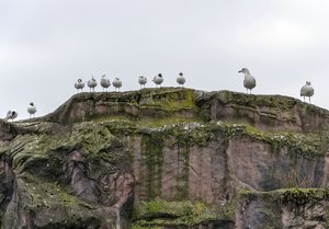 comp__DSC4770.jpg comp__DSC4770.jpg