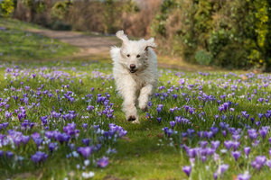 2016 03 12_1292_bearbeitet-1 Kopie.jpg