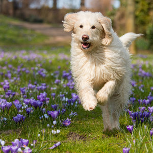 2016 03 12_1293_bearbeitet-1 Kopie.jpg