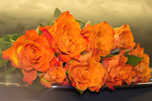 Rosen bb.jpg Rosen bb.jpg