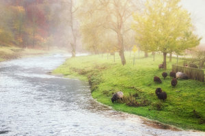 für Bilderforum.jpg für Bilderforum.jpg