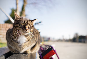 20160316-DSCF9601-7 bearb..jpg