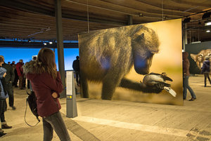 2016 03 20_1411_bearbeitet-2.jpg