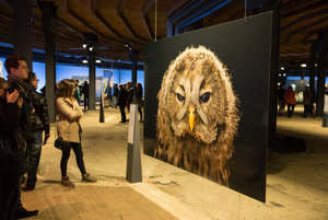 2016 03 20_1458_bearbeitet-2.jpg