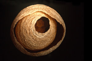 2016 03 20_1423_bearbeitet-2.jpg