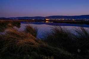 _DSC0152.jpg _DSC0152.jpg