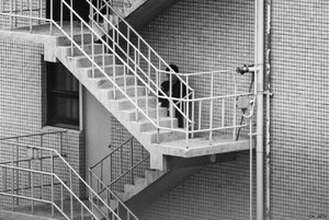 500k_SAM_0845.jpg 500k_SAM_0845.jpg