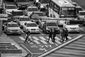 500k_SAM_0795.jpg 500k_SAM_0795.jpg