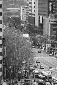 500k_SAM_0850-2.jpg 500k_SAM_0850-2.jpg