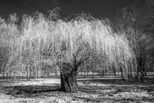 comp_IMG_1260 Kopie.jpg