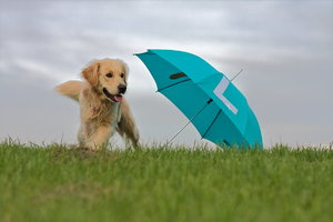 IMG_6128.jpg IMG_6128.jpg