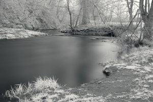 CRW_7824.jpg CRW_7824.jpg