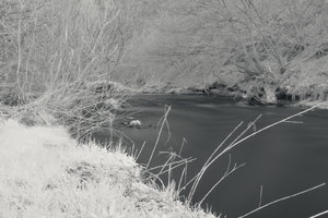 CRW_7826_01.jpg CRW_7826_01.jpg