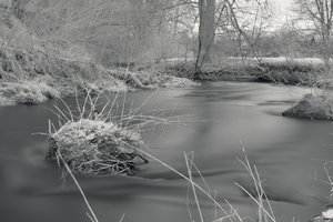 CRW_7827.jpg CRW_7827.jpg