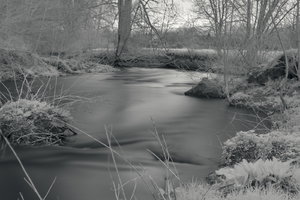 CRW_7828_01.jpg CRW_7828_01.jpg