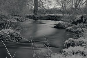 CRW_7828.jpg CRW_7828.jpg