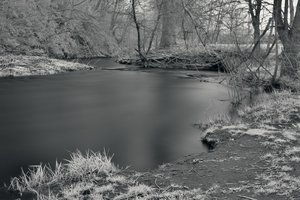 CRW_7824_01.jpg CRW_7824_01.jpg