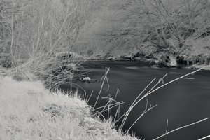 CRW_7826.jpg CRW_7826.jpg