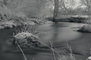 CRW_7827_01.jpg CRW_7827_01.jpg