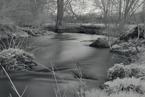 CRW_7828_06.jpg CRW_7828_06.jpg