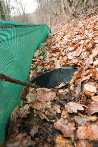 2016 04 03_1529_bearbeitet-2.jpg 2016 04 03_1529_bearbeitet-2.jpg