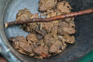 2016 04 03_1522_bearbeitet-2.jpg 2016 04 03_1522_bearbeitet-2.jpg