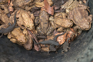 2016 04 03_1526_bearbeitet-2.jpg 2016 04 03_1526_bearbeitet-2.jpg