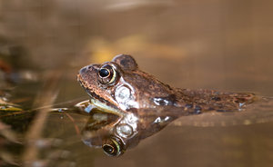 2016 04 03_1485_bearbeitet-2.jpg 2016 04 03_1485_bearbeitet-2.jpg