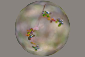 IMG_9673_01a.jpg IMG_9673_01a.jpg