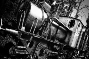 DSC_5950_bea.jpg DSC_5950_bea.jpg