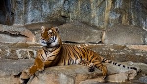 comp_Tierpark  05.04.2016-0855.jpg