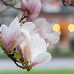 fürs Bilderforum.jpg fürs Bilderforum.jpg