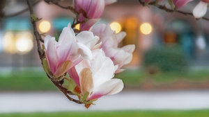 fürs Bilderforum-2.jpg fürs Bilderforum-2.jpg