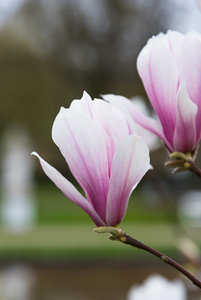 fürs Bilderforum-3.jpg fürs Bilderforum-3.jpg