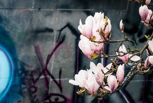 fürs Bilderforum-4.jpg fürs Bilderforum-4.jpg