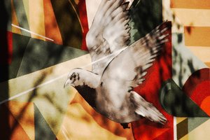 CRW_7913.jpg CRW_7913.jpg