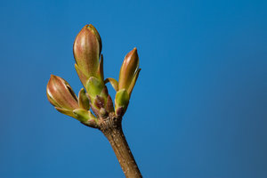 2016 04 19_1622_bearbeitet-2.jpg