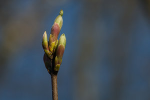 2016 04 19_1618_bearbeitet-2.jpg