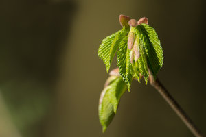 2016 04 19_1621_bearbeitet-2.jpg