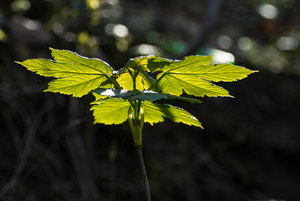 2016 04 19_1623_bearbeitet-2.jpg